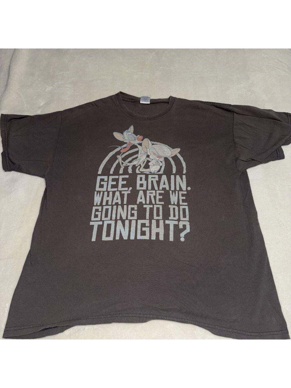 Pinky and the Brain T Shirt Mens XL Gildan Warner Bros 2007 Cartoon Graphic Tee